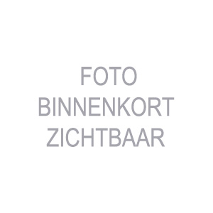 Fortalit NG BuitenhoekprofielNaturel 46x46x6000mm