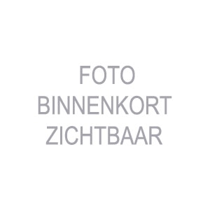 Vuren Mix C18 SLS Geschaafd Ronde Hoek 70%PEFC 38x89x4800mm