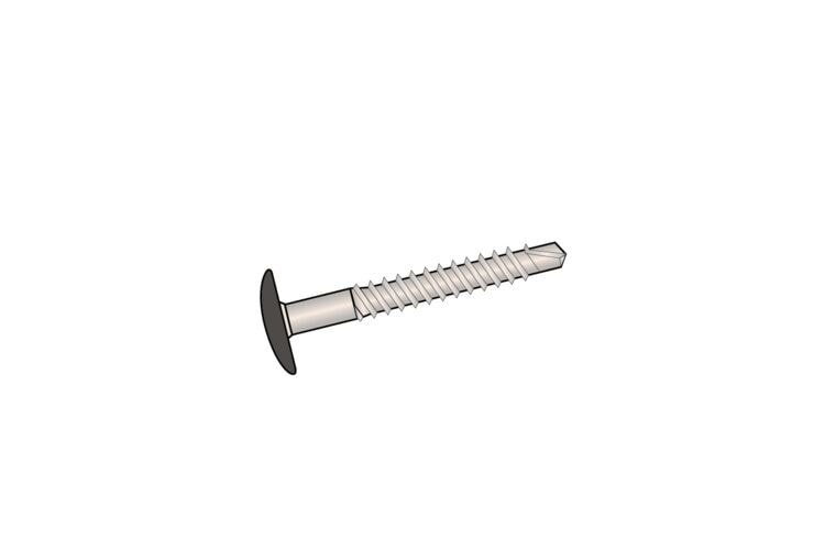Equitone Tectiva Schroef Lage bolkop Torx T20 RVS TE15 Lichtgrijs 100st 5,5x40mm