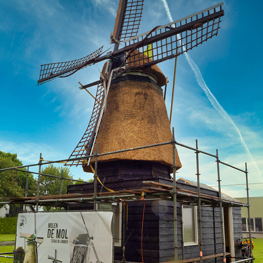 Molen De Mol