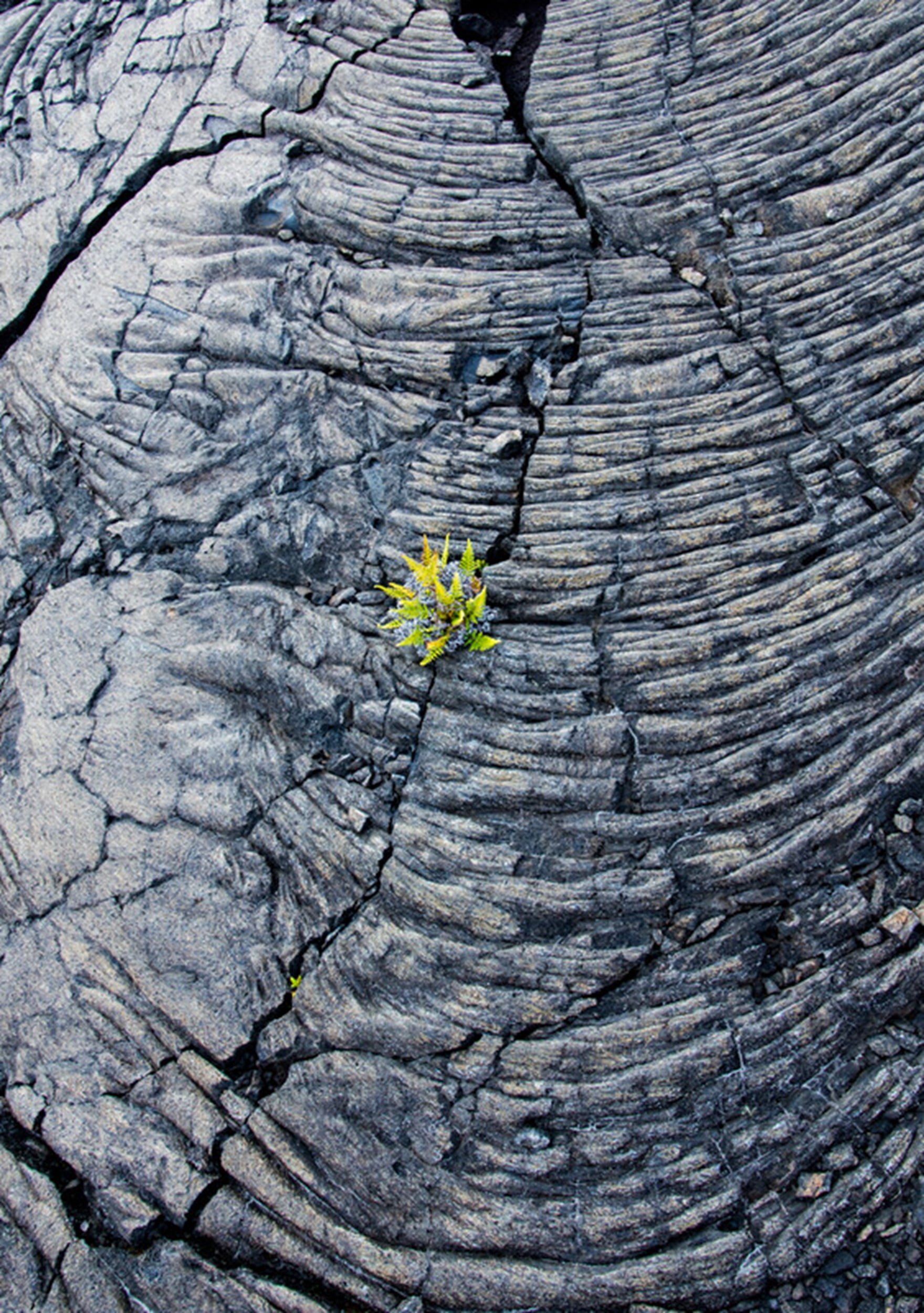 Circularity by Nature