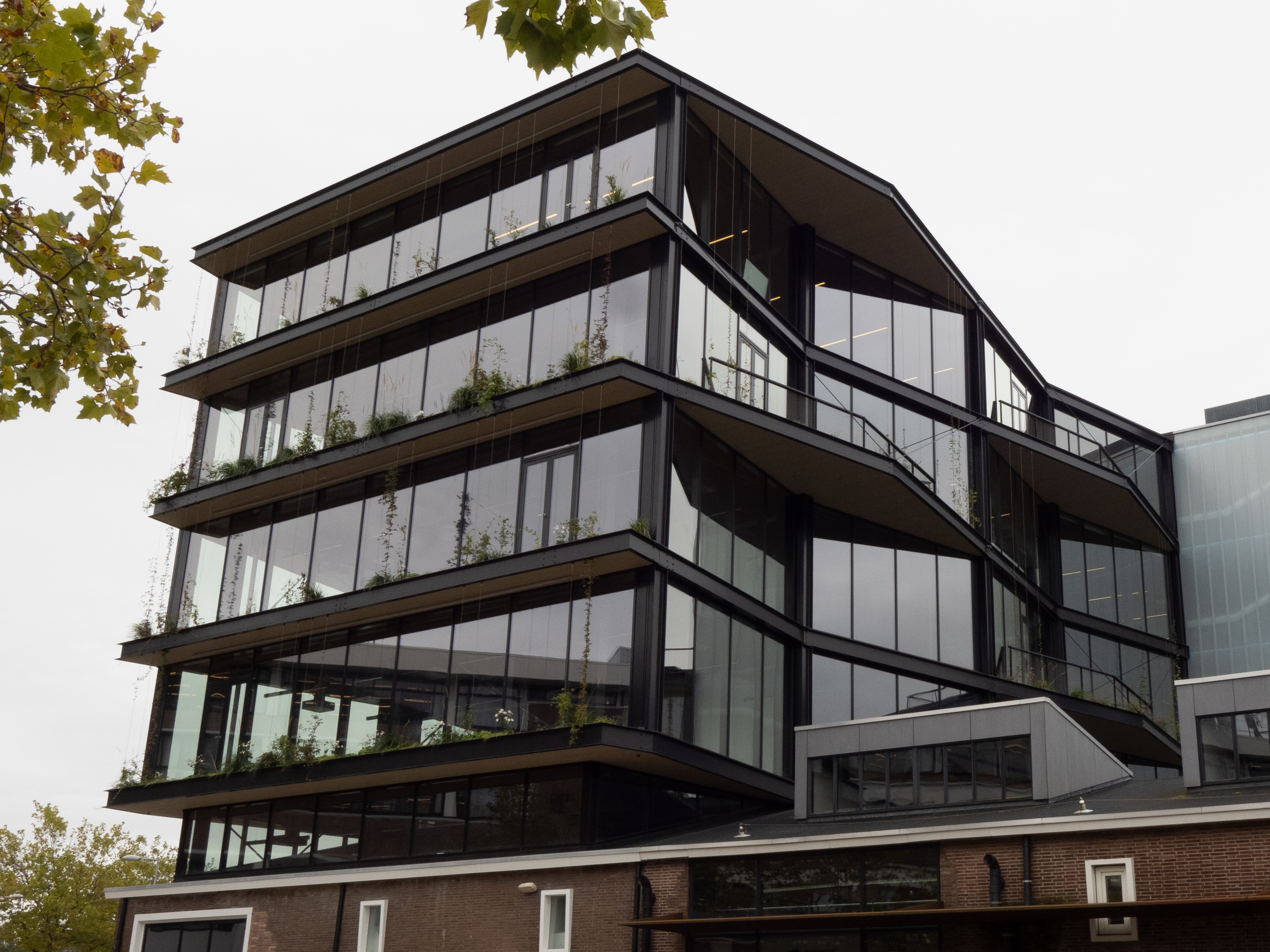 Kauwgumballenfabriek