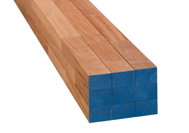 Mahonie: wat is mahoniehout en hoe gebruik je het?